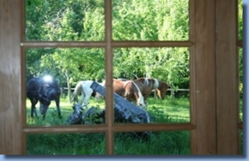 looking at grazing horses out of a window   at Antilco, the horse riding ranch in Chile